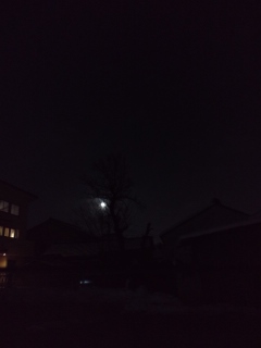 110120_1843~02.jpg