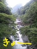 Nagamesaikou