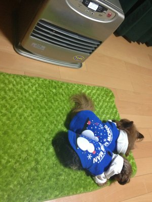 ☆ 寒いので  ☆