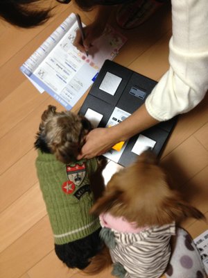 ☆ 体重計きた〜  ☆