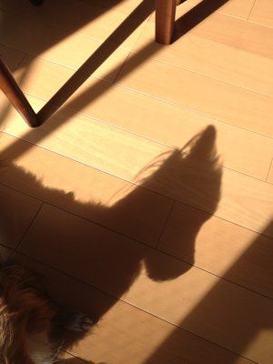 ☆ 日向ぼっこ ☆