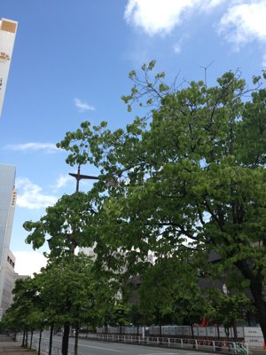 ☆ おでかけ ☆