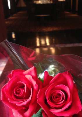 ☆ 薔薇  ☆