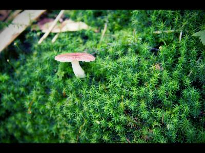 rps20130902_204946_256.jpg rps20130902_204946_256.jpg