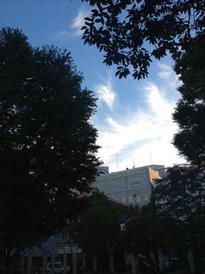 ☆ 風にのって ☆
