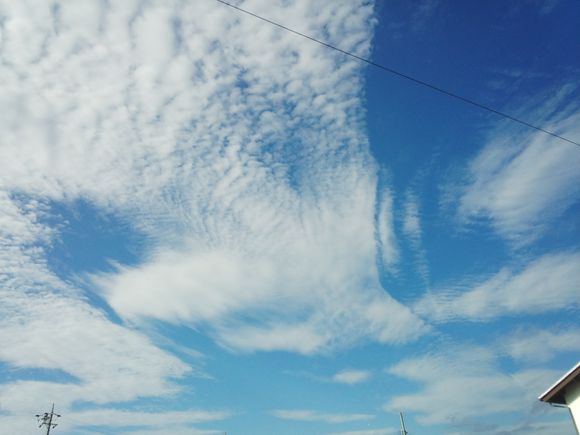 DSC_0532.jpg