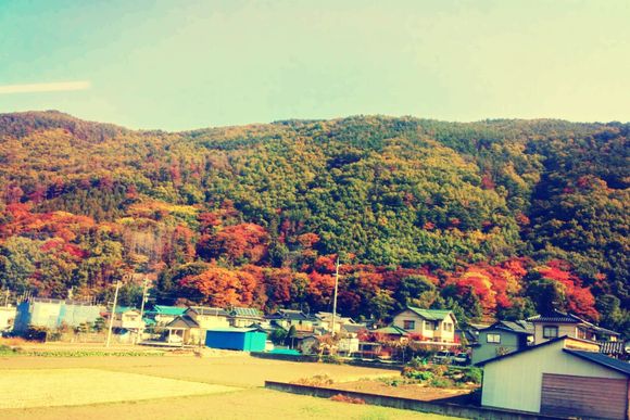 IMG_20131105_101058.jpg
