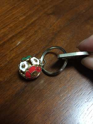 ☆ 鍵はどこ？ ！ ☆