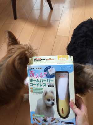 ☆ 試してみるかな ☆