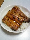 Kanunagi