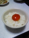 Tamago